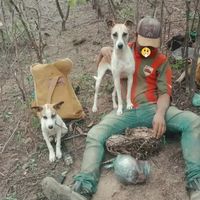 denilson.mesquita.01