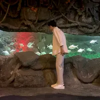 Đừng Làm Trái Tim Anh Đau Remix