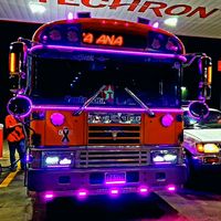 los_buses_504