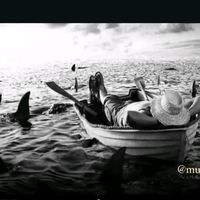 predestinado_bruno59
