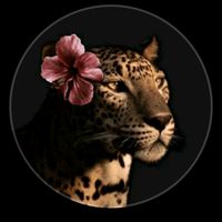 first__toulaye__tannty