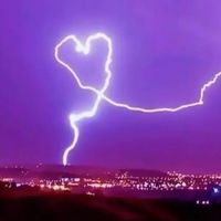 Shake senora speed up