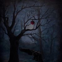 pomegranate588