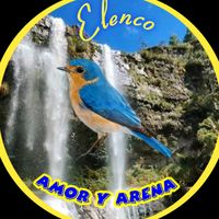 amorde.arena