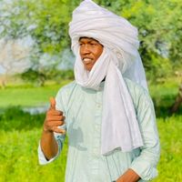 wiled_warda