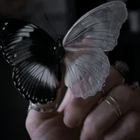 original sound - tenebr1s_angelus