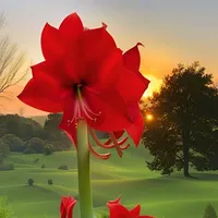 original sound - elizita213