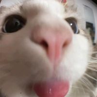 chinathip_25