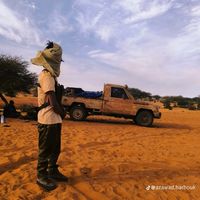 الصوت الأصلي