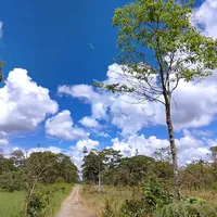 original sound - kerly.ushigua