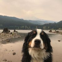 i_luv_phoebebridgers