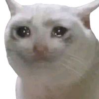 เกเรแบบชายชาตรี