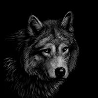thewolfbrasil