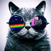 original sound - user9650391677679