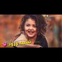 alaaegybt0