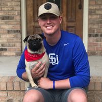busch_light88