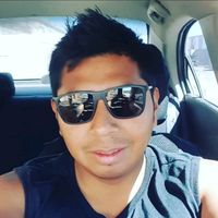 dino_the_flow