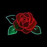 redroseyaustin