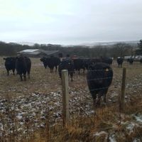 slag_for_farmers14