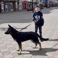 _sofian_ff_official_