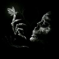 pain_hub._.73