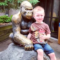 slipknotandhorrorlover76