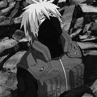 kakashi.hatake6445