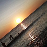 الصوت الأصلي