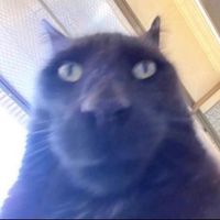 оригинальный звук - 4 town >>>