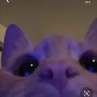 original sound - ma.rie_0ln