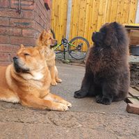 bearandmissy