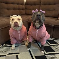 ravenna.jade_pitmonsters