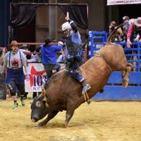 PACK YA HAND AND BE THE MAN