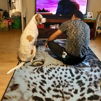 alkuperäinen ääni