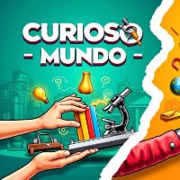 curiosomundodiy