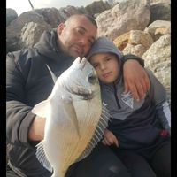 piedra402