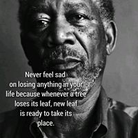 zeytegahdehilmialeni6