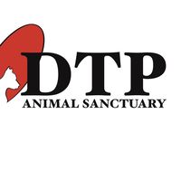 dtpanimalsanctuary