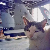 original sound - snup_edits