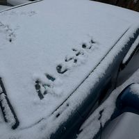 tallerrepuestoshernandez