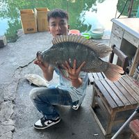 akayongye