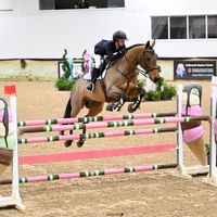 rideforvivian