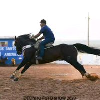 eliomarsuzartdoss0