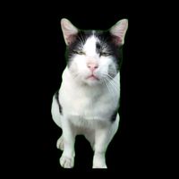 suara asli - MirR*