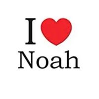 marokkaansefietsendief2