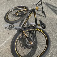 508..todd