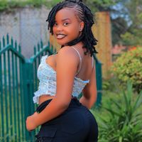 254shel