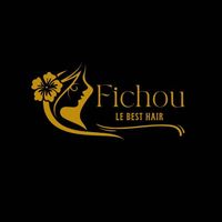 fichou2024