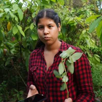 original sound - disfrutandodelcampo