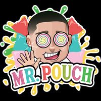 mr.pouch